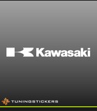 Kawasaki (541)