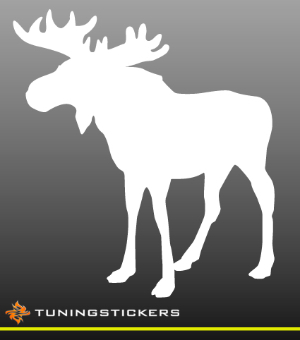 (6014) | TuningStickers.nl