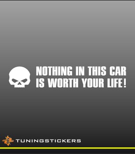 Nothing in this car is worth your life (251)