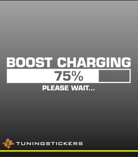 Boost charging (9114)