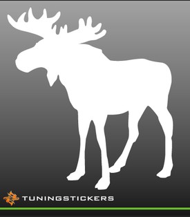 Deer (6014)