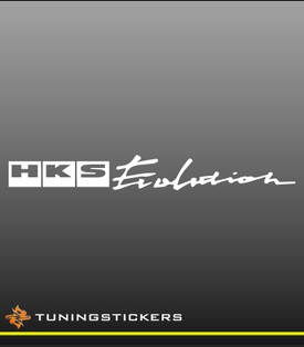 HKS Evolution (071)