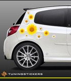 Car sunflower and daisy set (3556)