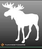 Deer (6014)