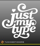 Just my Type (313)