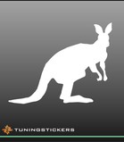 Kangaroo (463)