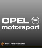 Opel motorsport (255)